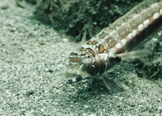 クローズ明け！