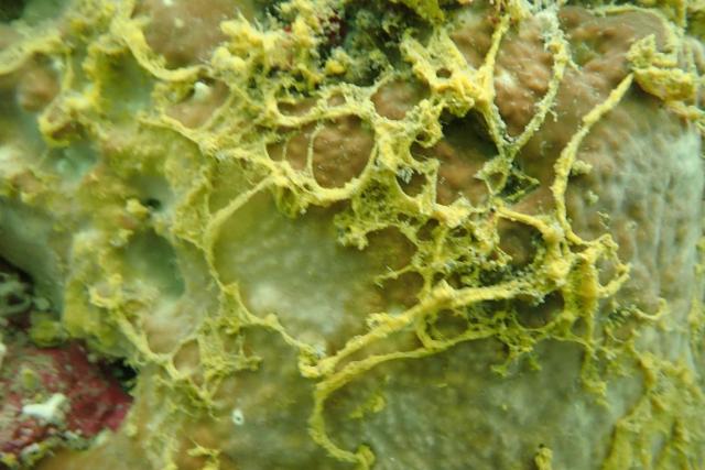 クローズ明け！