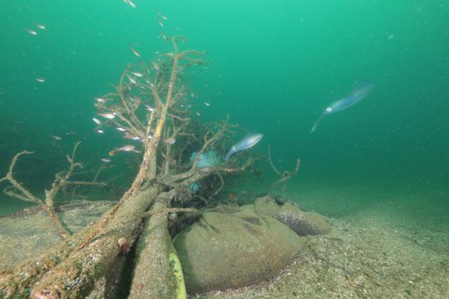 水中ゴミ拾いDAY！