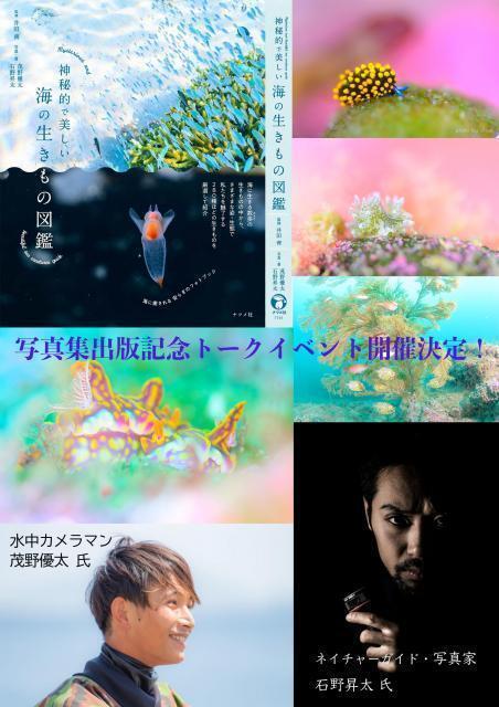 水中ゴミ拾いDAY！