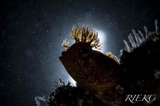 うねり入り始めました