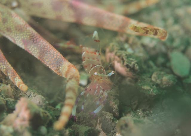 うねり入り始めました