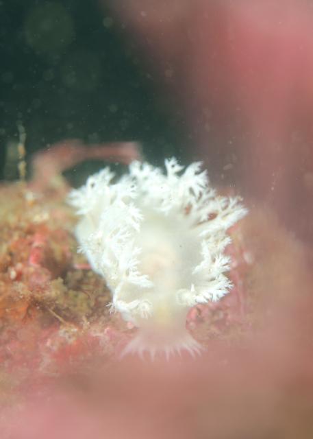 うねり入り始めました