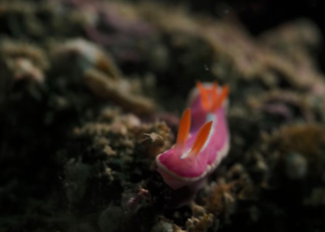 うねり入り始めました