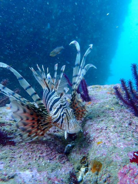 ビーチは真夏！！です