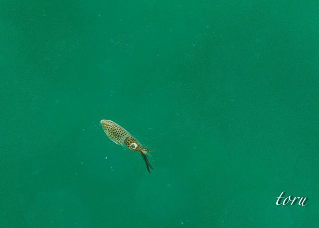 良いお天気に！！