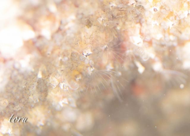 良いお天気に！！