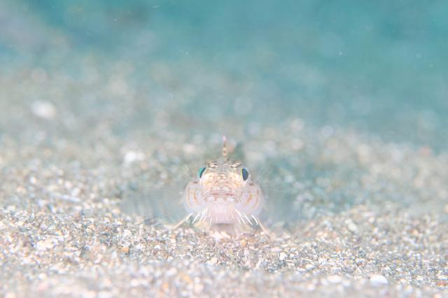 良いお天気に！！