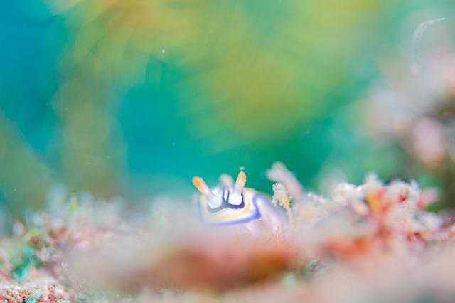 良いお天気に！！