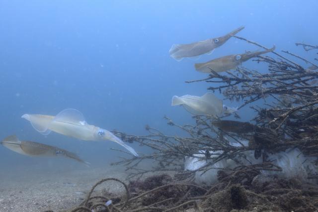 良いお天気に！！