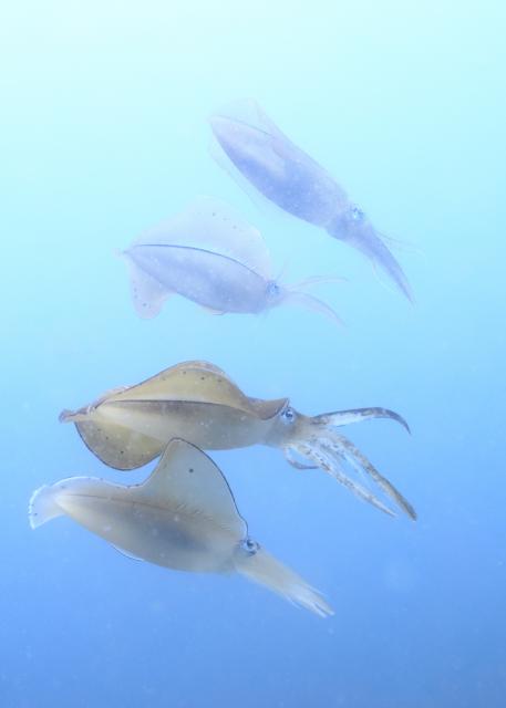 良いお天気に！！