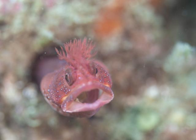 良いお天気に！！
