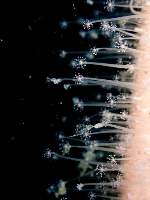 今日はにぎやかでした