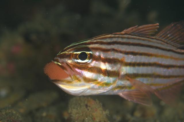 今日はにぎやかでした