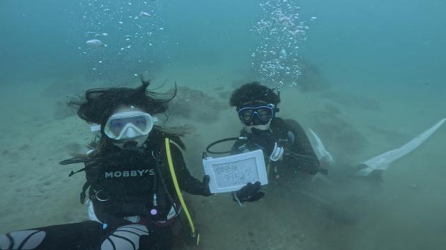 今日はにぎやかでした