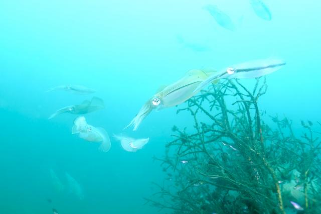 今日はにぎやかでした