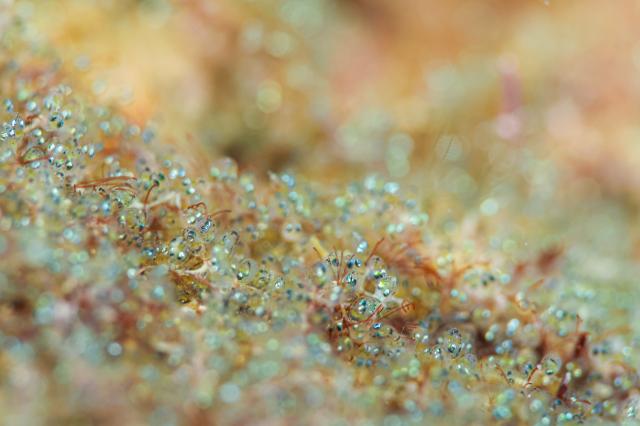 今日はにぎやかでした