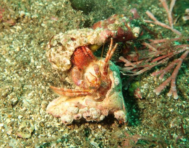 今日はにぎやかでした