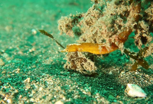 今日はにぎやかでした