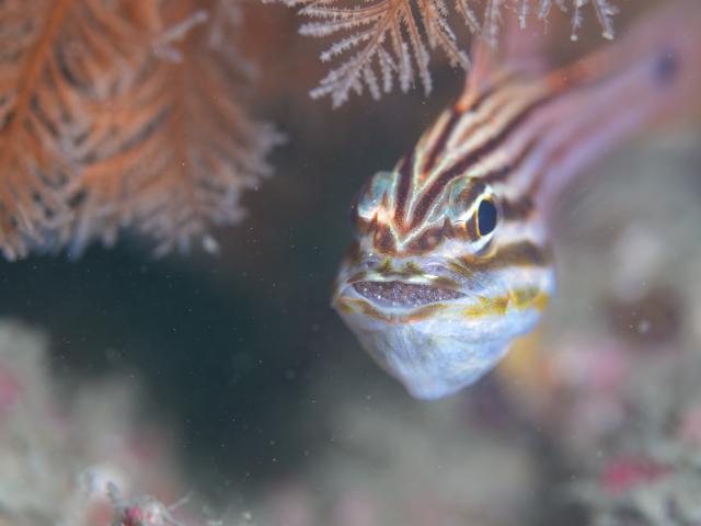 出版記念トークイベント！