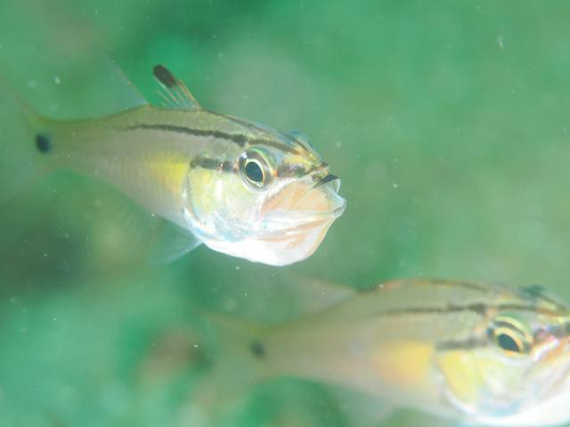 出版記念トークイベント！