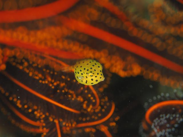 出版記念トークイベント！