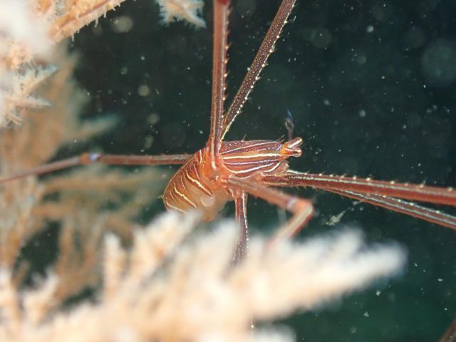 出版記念トークイベント！