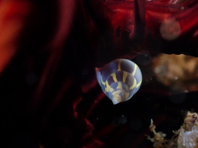 出版記念トークイベント！