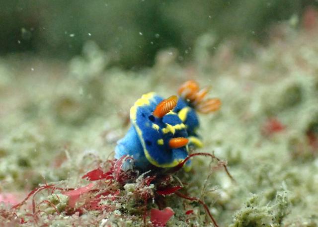 出版記念トークイベント！