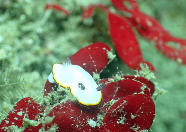 出版記念トークイベント！