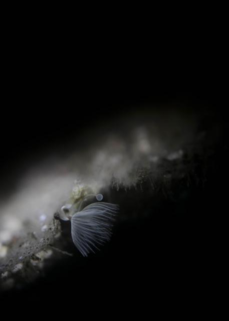 出版記念トークイベント！