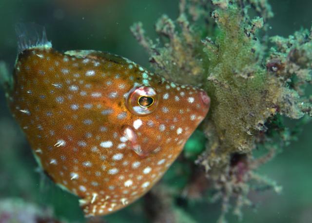 出版記念トークイベント！