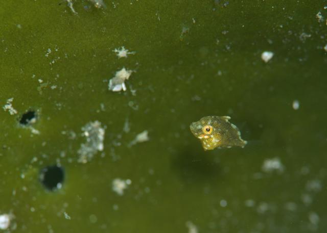 出版記念トークイベント！