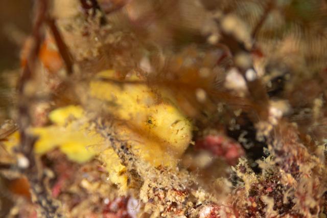 出版記念トークイベント！