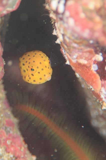 出版記念トークイベント！