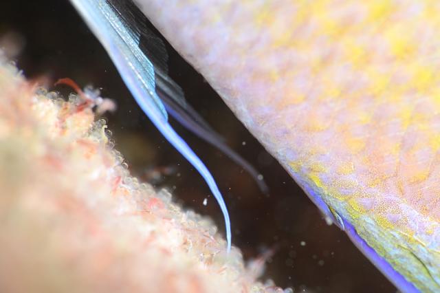 出版記念トークイベント！