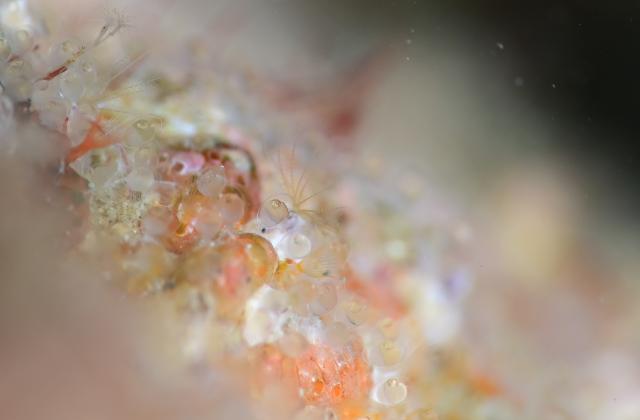 出版記念トークイベント！