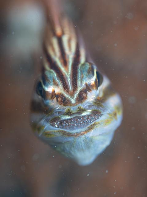 出版記念トークイベント！