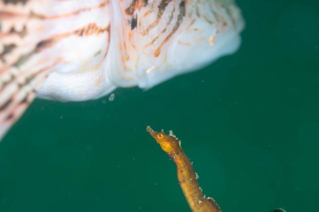 しげちゃん、昇太君の写真集出版記念トークイベント！2日目