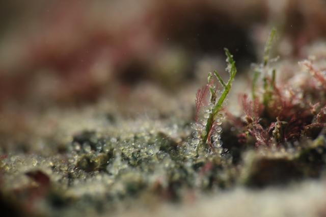 しげちゃん、昇太君の写真集出版記念トークイベント！2日目