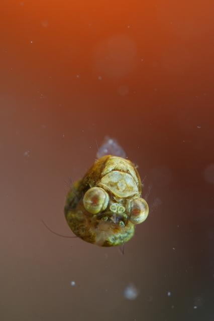 しげちゃん、昇太君の写真集出版記念トークイベント！2日目