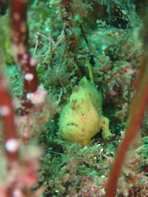 しげちゃん、昇太君の写真集出版記念トークイベント！2日目