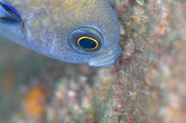 しげちゃん、昇太君の写真集出版記念トークイベント！2日目