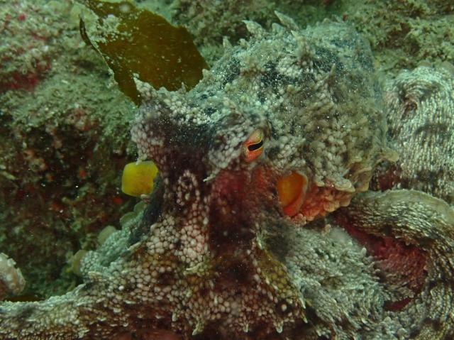 ３連休最終日！