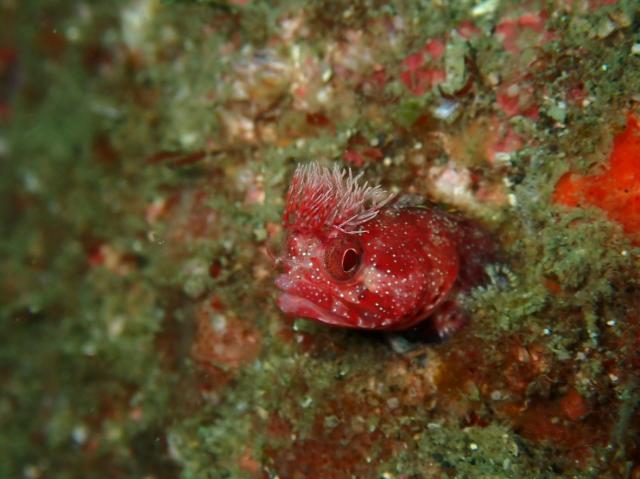 ３連休最終日！