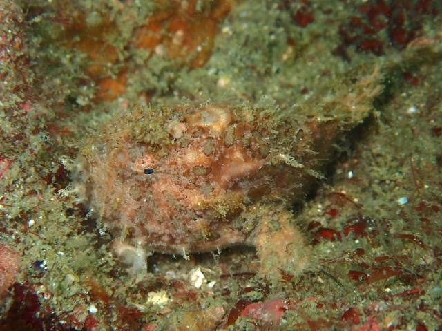 ３連休最終日！