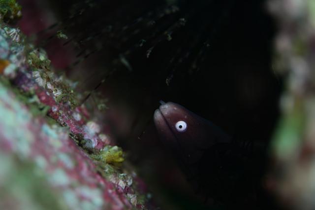 ３連休最終日！