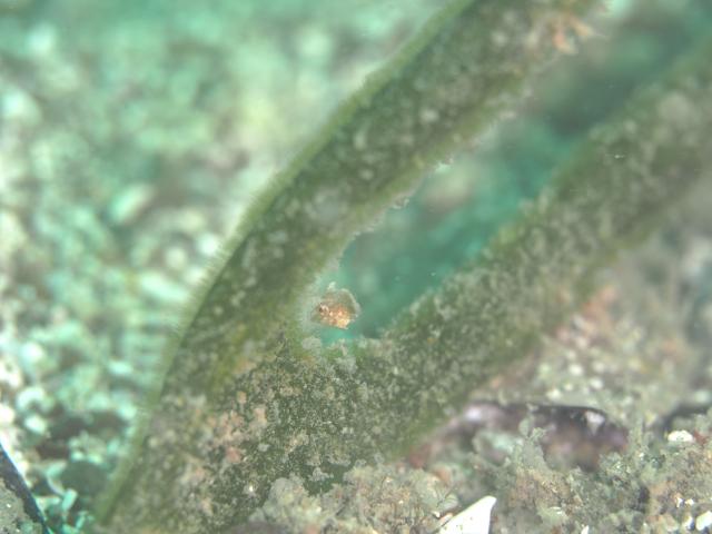 ３連休最終日！