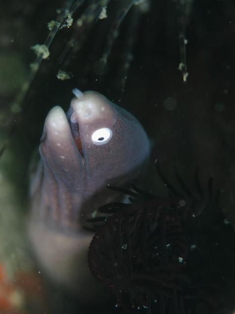 ３連休最終日！