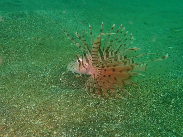 ３連休最終日！